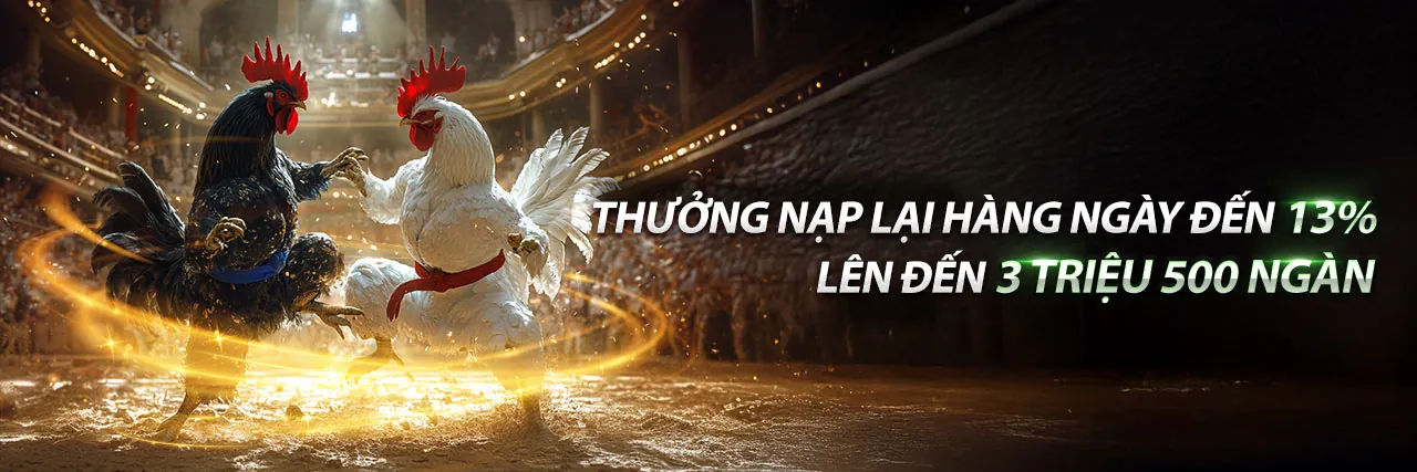 Banner khuyến mãi đá gà 33win